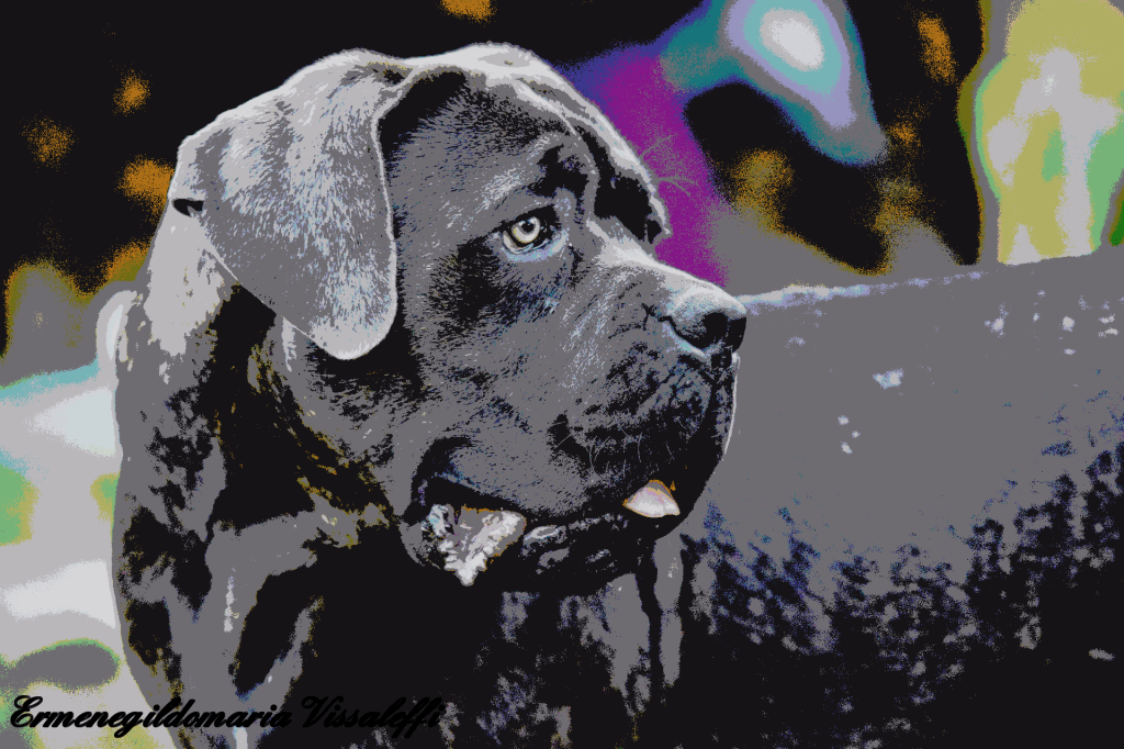 ermenegildomaria-opera