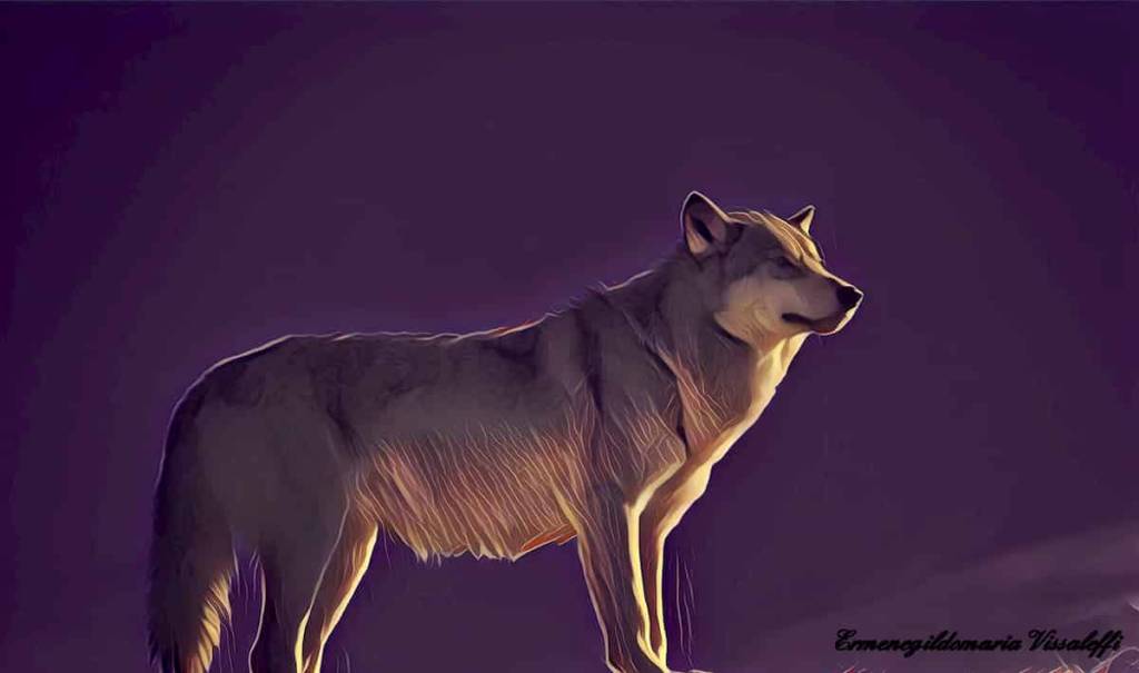 ermenegildomaria-vissaleffi-arte